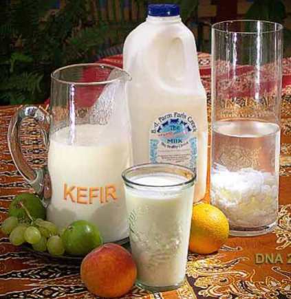 Kefir Products