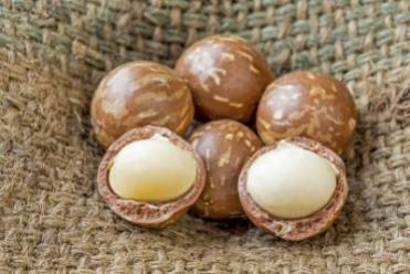 Macadamia Nut Oil 2